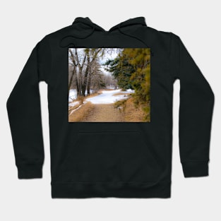 Urban trail Hoodie